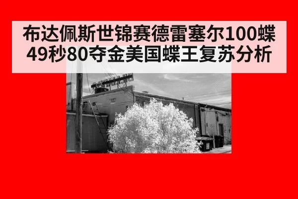 布达佩斯世锦赛德雷塞尔100蝶49秒80夺金美国蝶王复苏分析（leyu）
