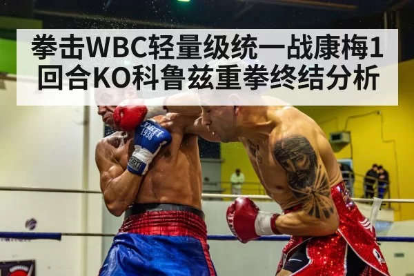 拳击WBC轻量级统一战康梅1回合KO科鲁兹重拳终结分析（leyu）