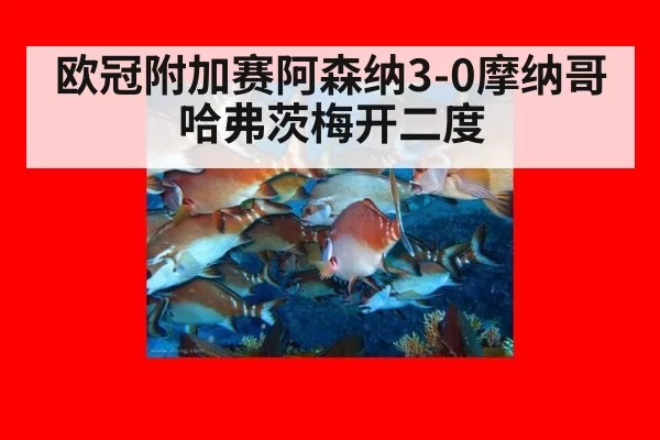 欧冠附加赛阿森纳3-0摩纳哥 哈弗茨梅开二度（leyu）